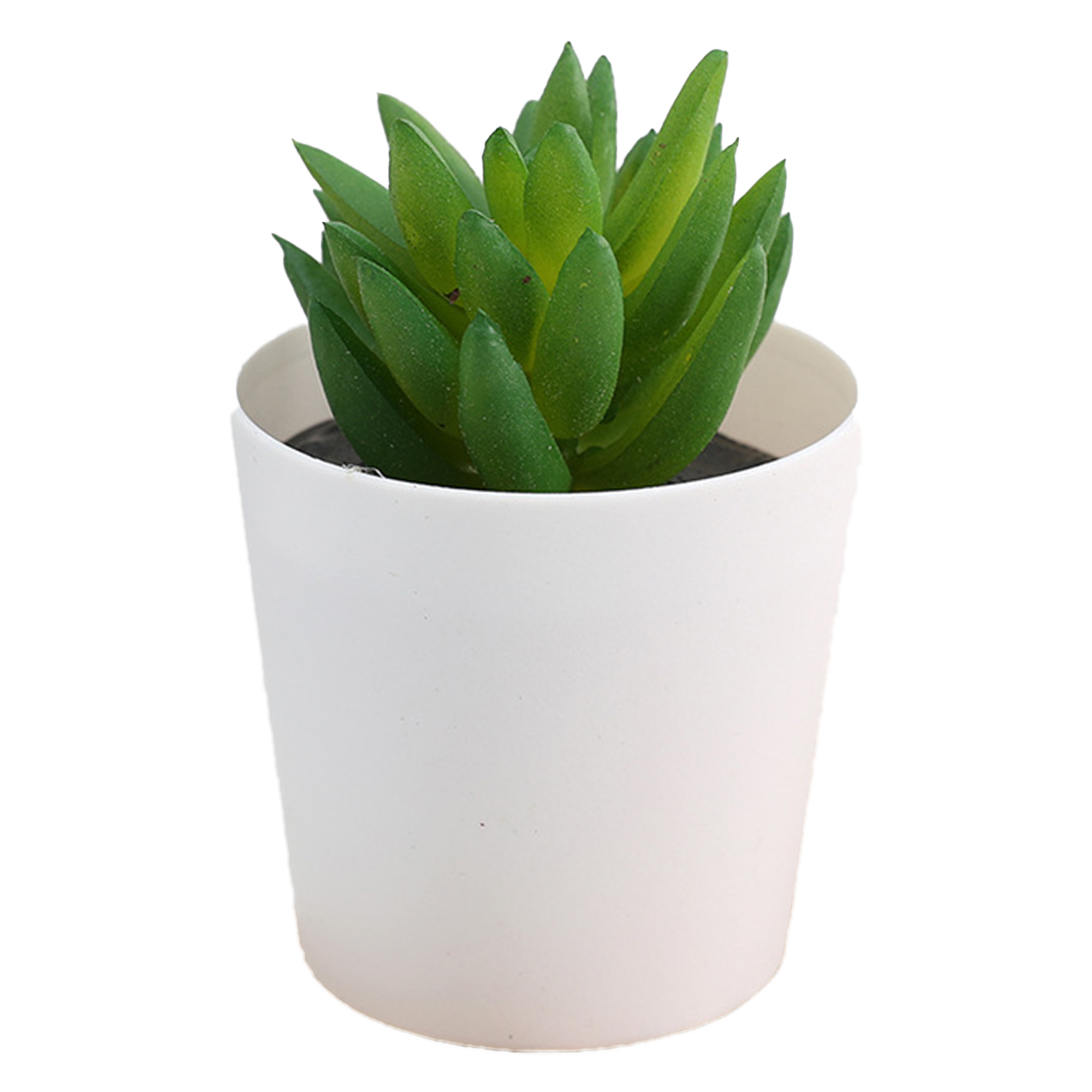 Mini Succulent Potted Plant Set for Home Decor 10