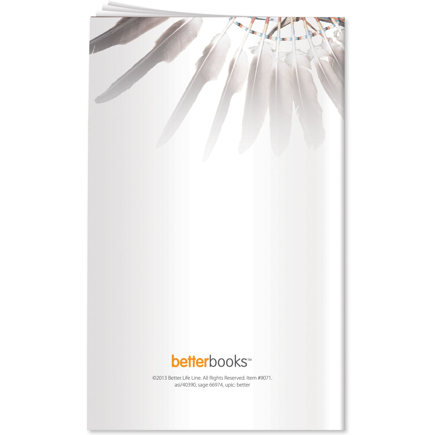 Better Book - Family Conflict & Domestic Violence 2