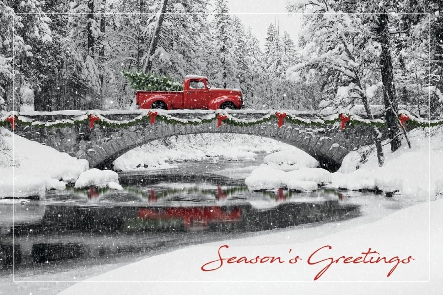 Homeward Bound Holiday Postcards 1