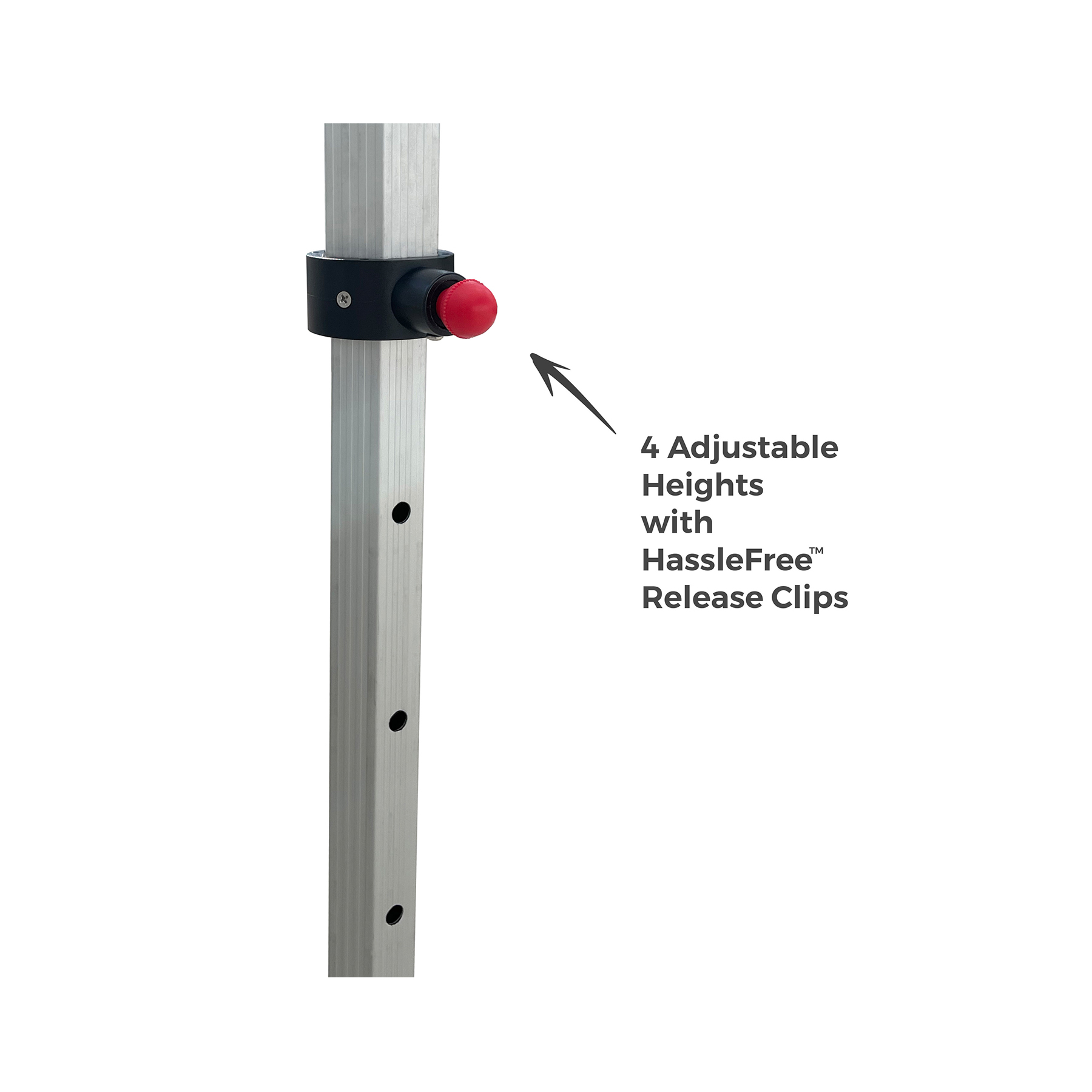 10x10 Platinum LifeTime Tent Full Color Canopy and Backwall 3