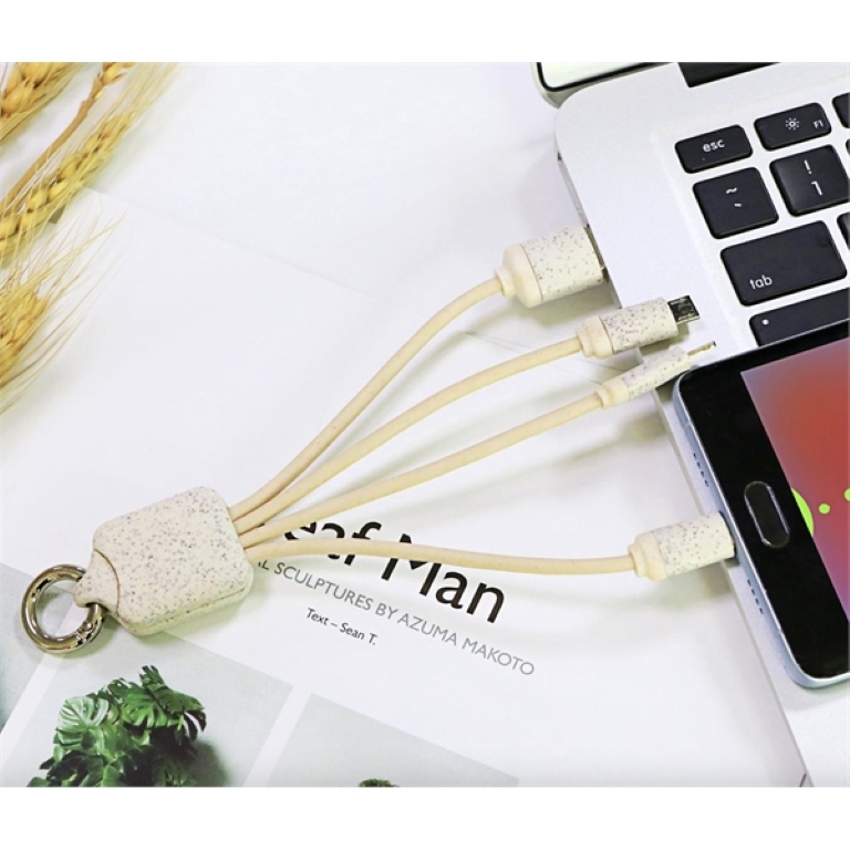 Eco-friendly 3-In-1 Charging Buddy With Key Chain 5