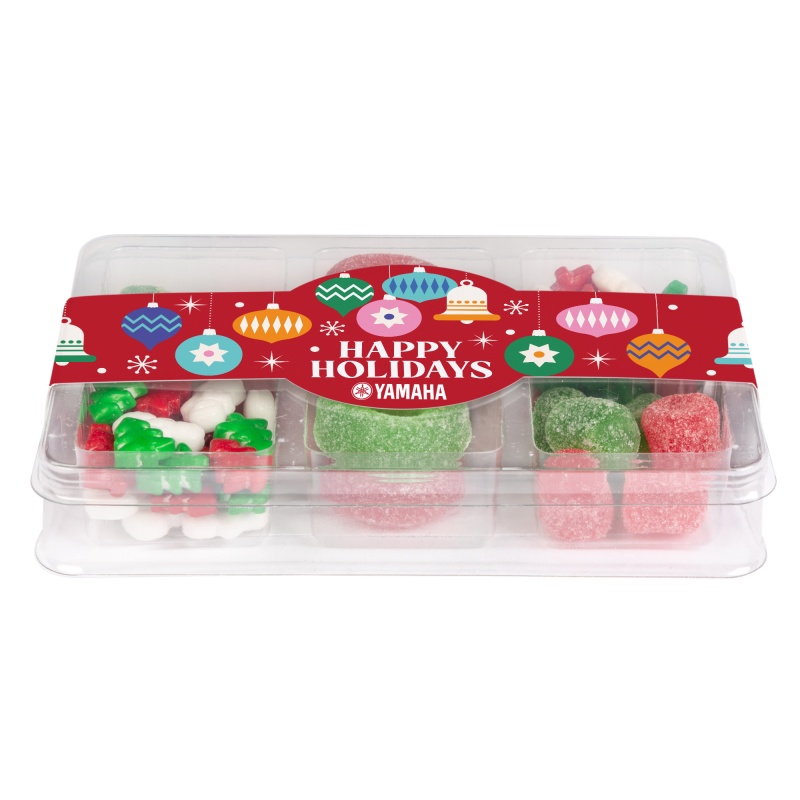 Mini Tackle Box- Holiday 2
