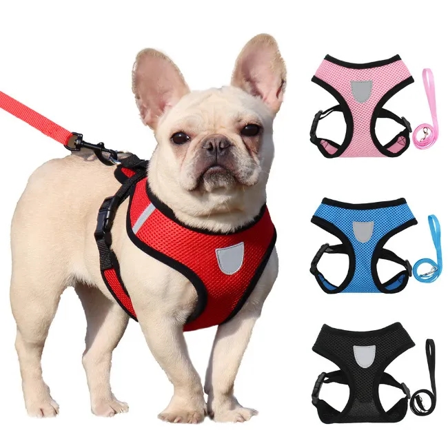 Pet Harness Lead 5