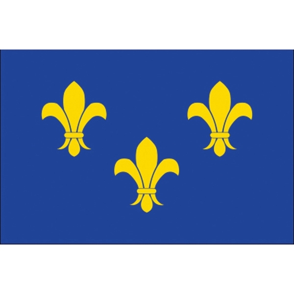 Special Historical Stick Flag - Blue Fleur de Lis 2