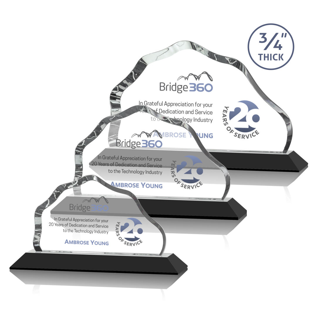 Petersen VividPrint™ Award - Black