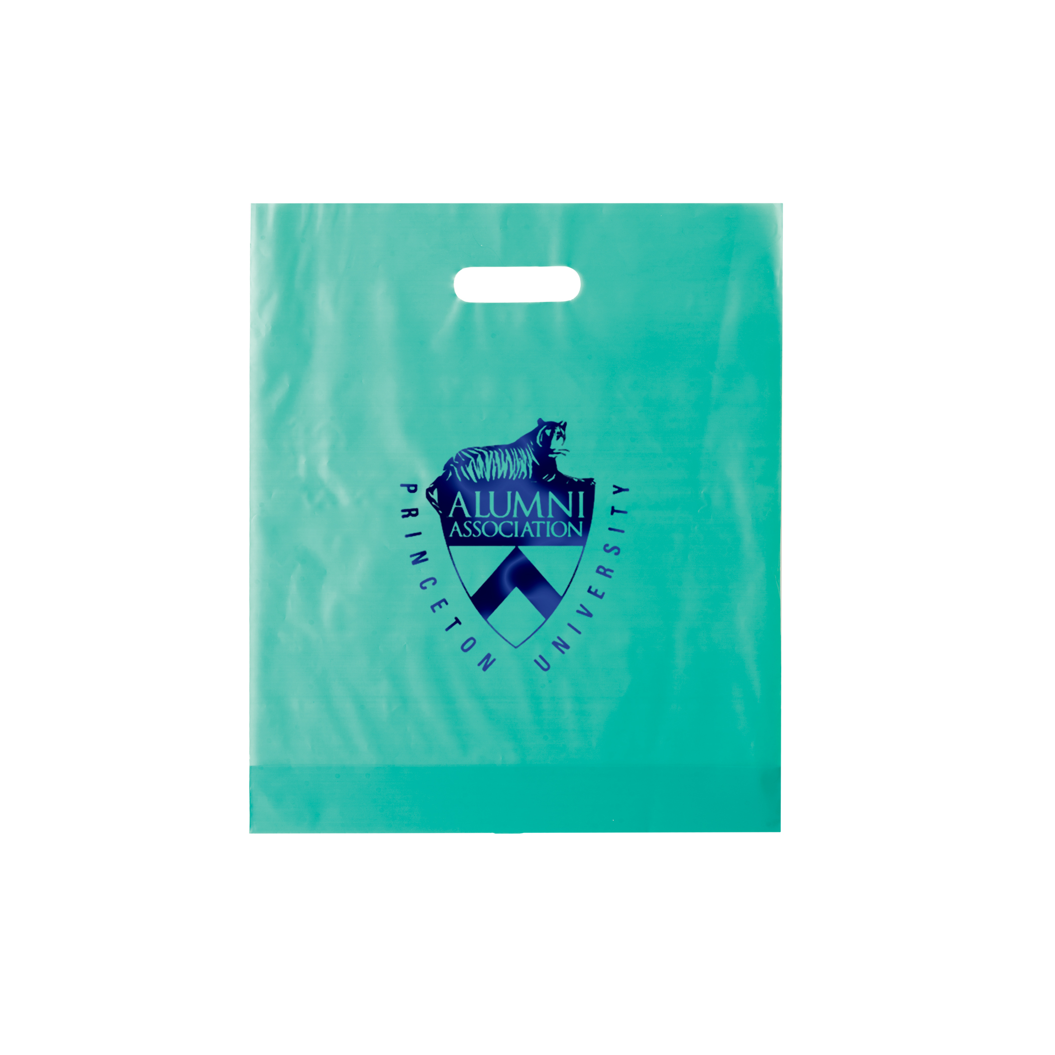 Non Reinforced HDPE Frosted Die Cut Bag 4