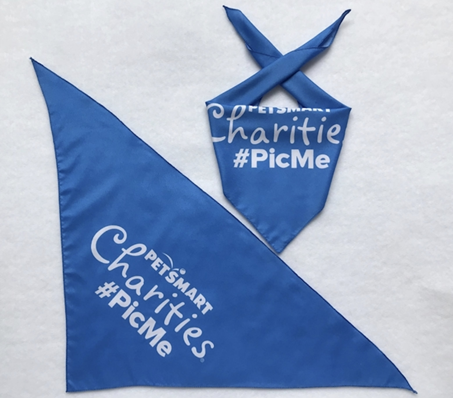 Polyester Bandanas for Dogs 2