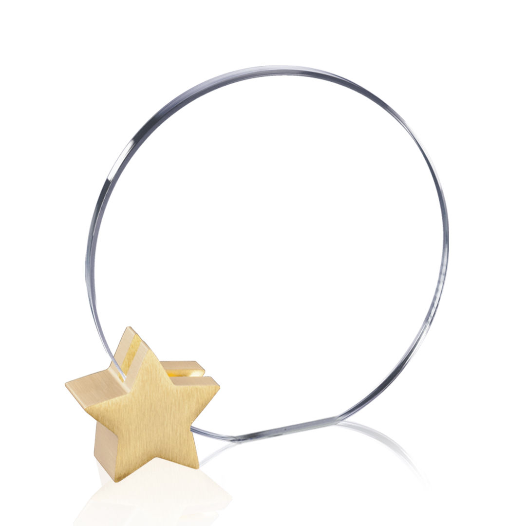 Verdunn Award - Starfire/Gold Star 6
