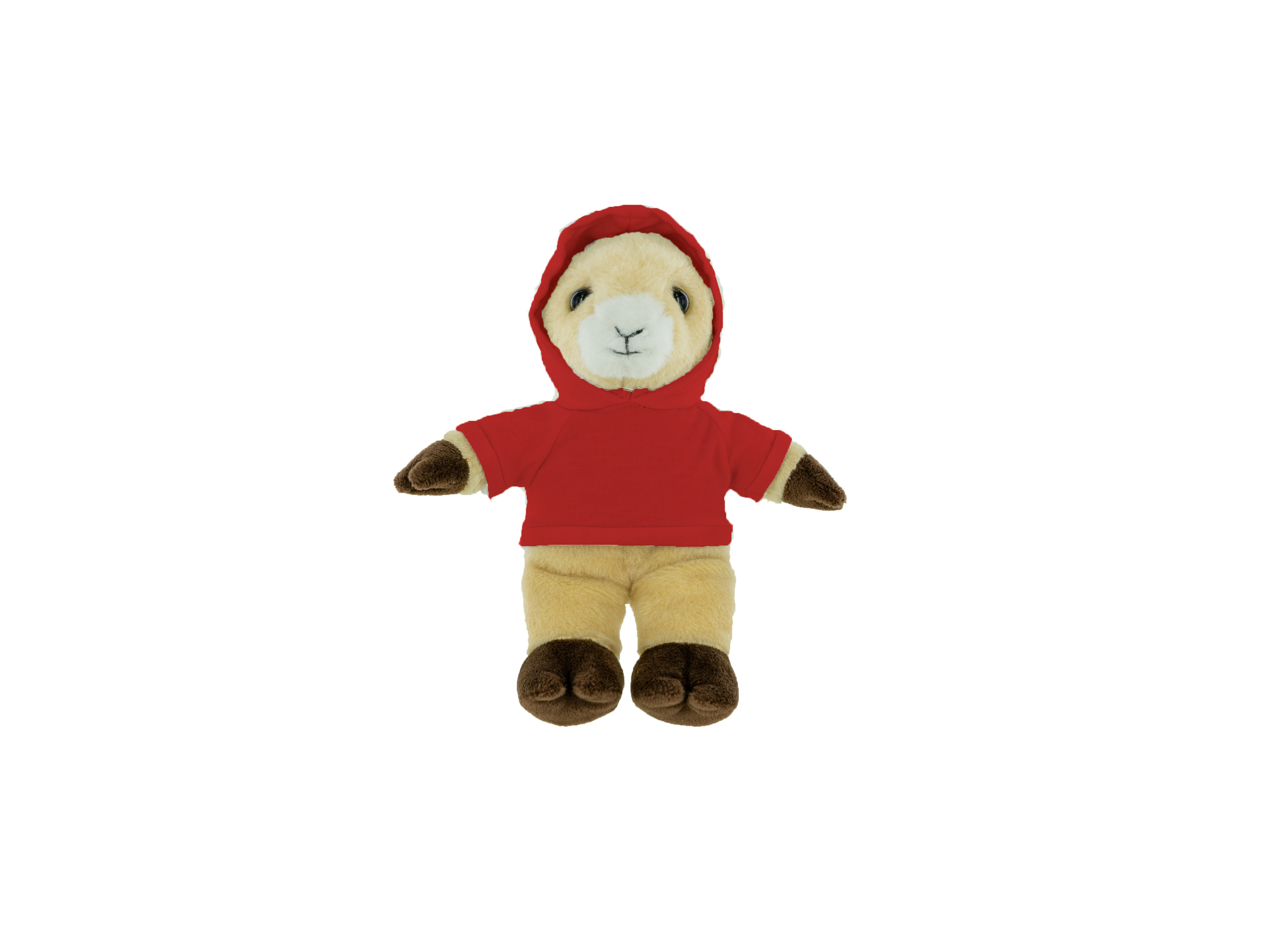 Plush Ram with Hoodie 11