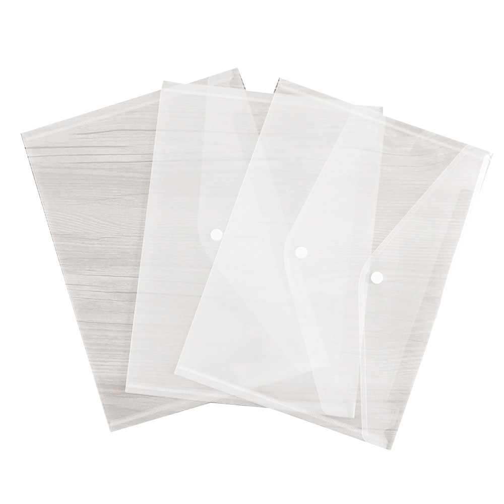 Transparent Snap Document Bag 1
