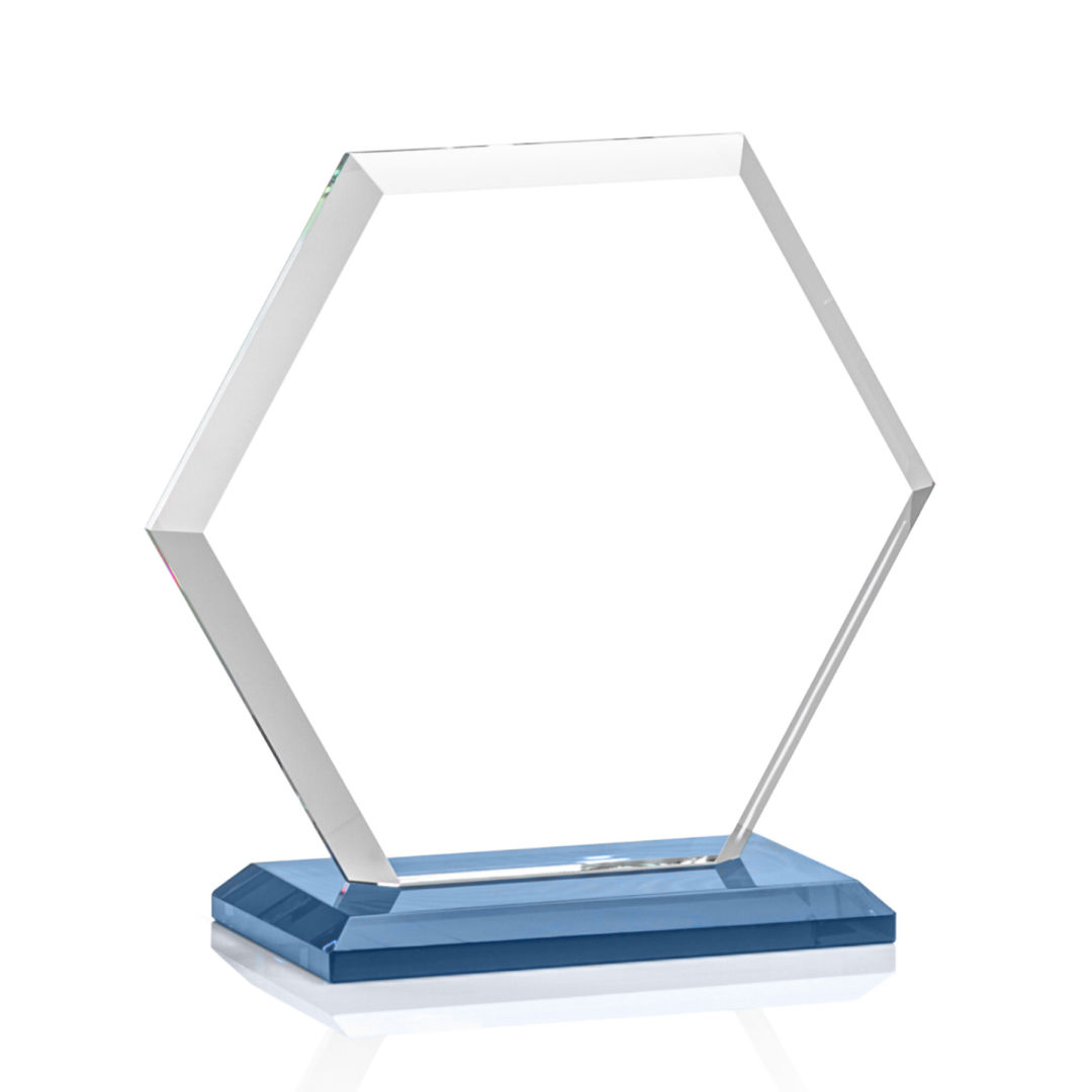 Barnett Award - Sky Blue 9