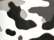 Youth Camo T-Shirt - 2181 58