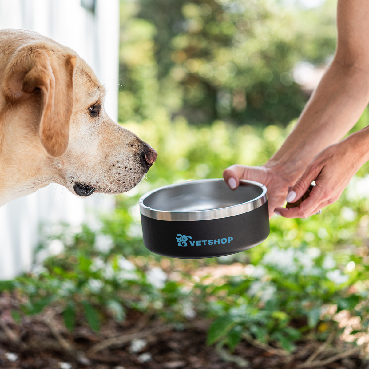 40 Oz. Stainless Steel Pet Bowl 7