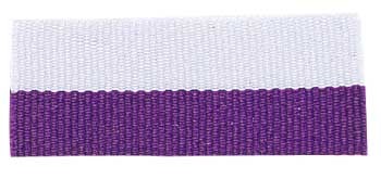 Purple/White "V" Neck Ribbon with Clip, 7/8" wide 1