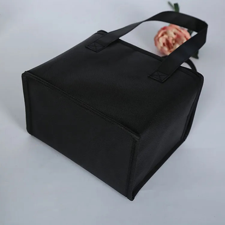 Insulated Food Delivery Bag Custom Size 6