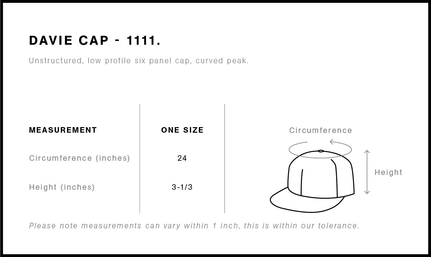 Davie Six Panel Cap | 1111 2