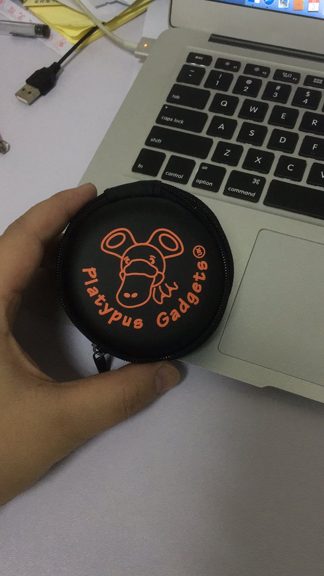 Earphone Case and Storage 7