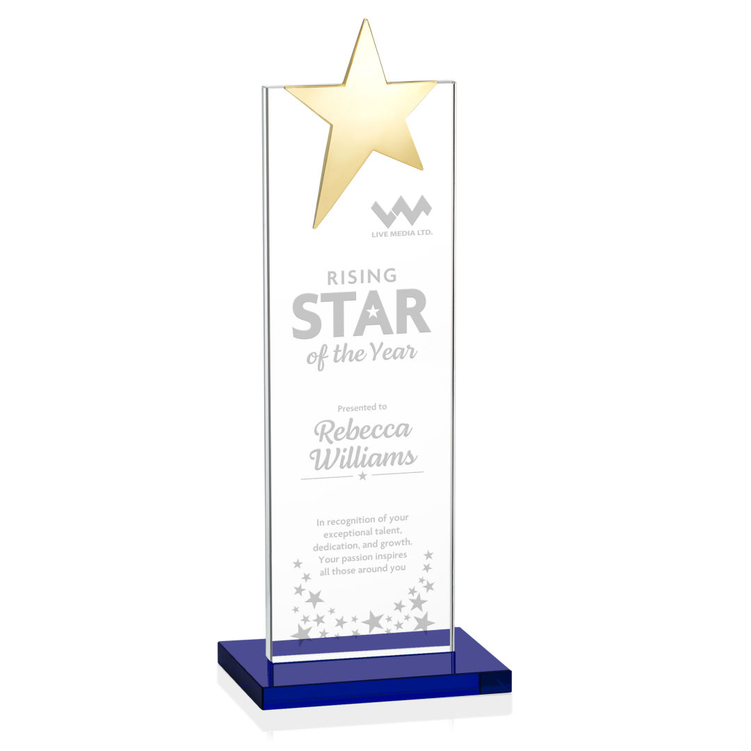 Bryanston Gold Star Award - Blue 8