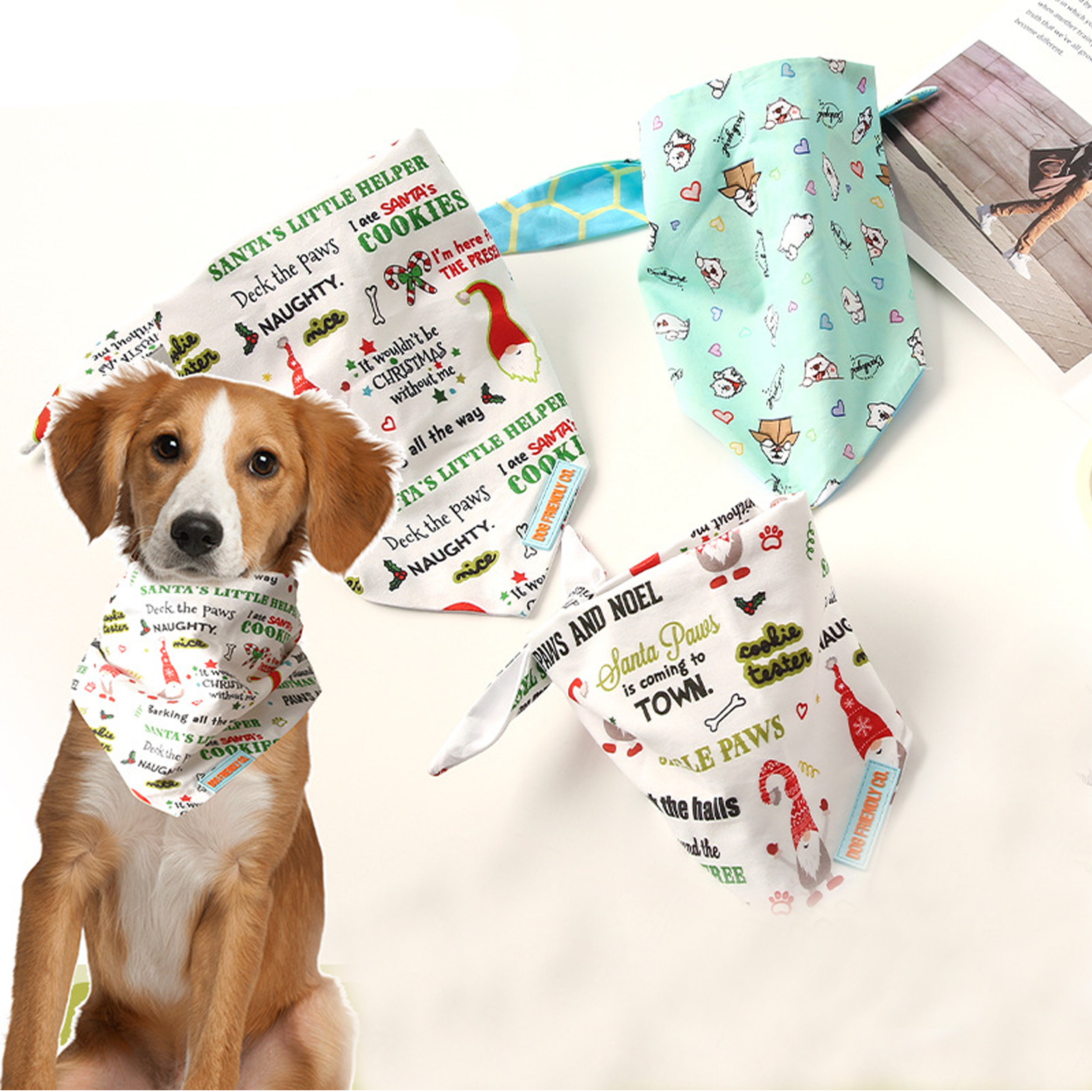 Pet Drool Scarf 2