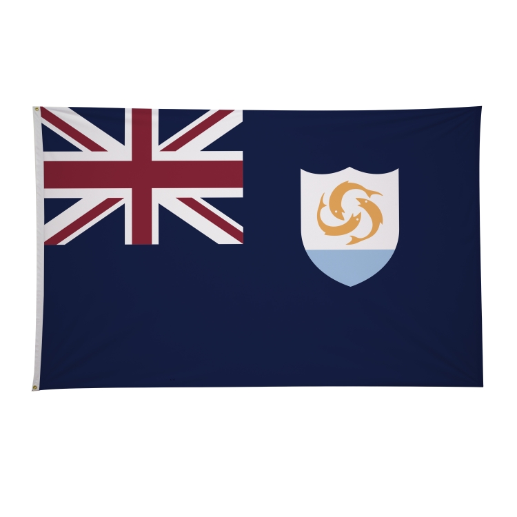 5' x 8' International Flags 289
