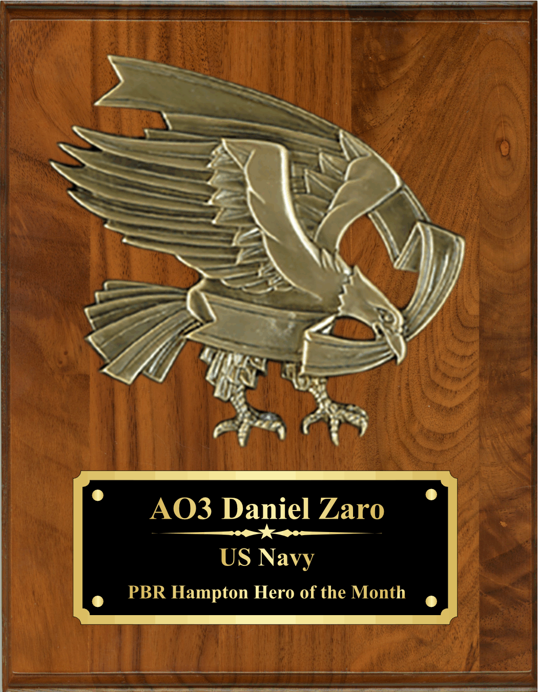 Plaque with Cast Bronze Eagle Mount 4