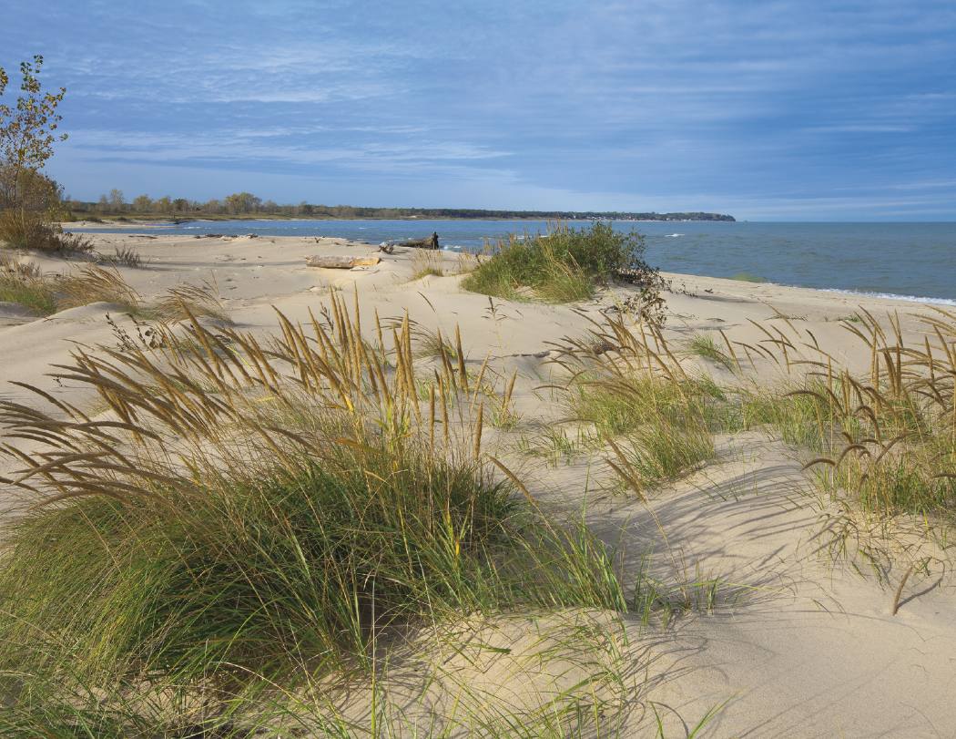 Triumph® Calendars Michigan Calendar 19