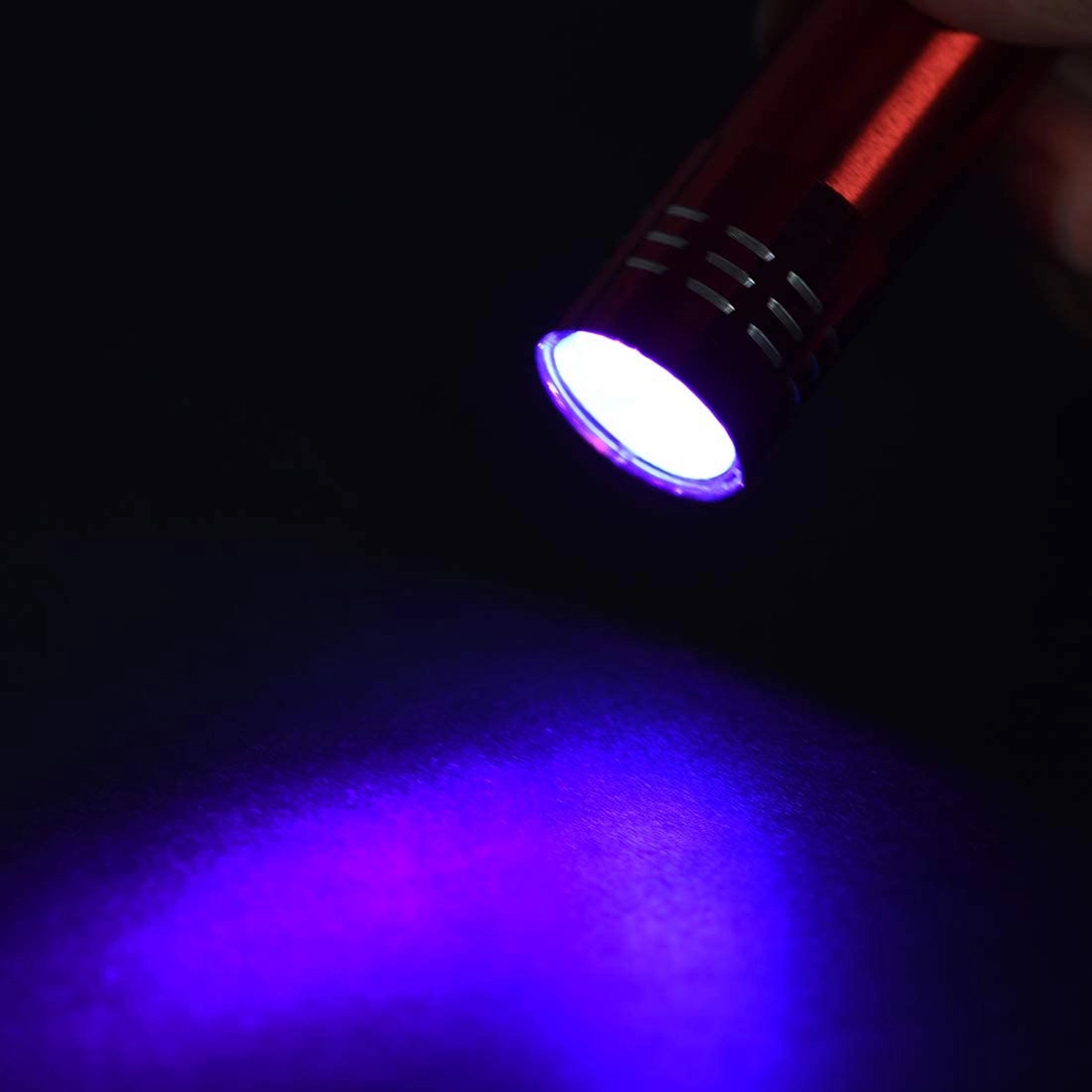 Mini LED Flashlight with Lanyard 4