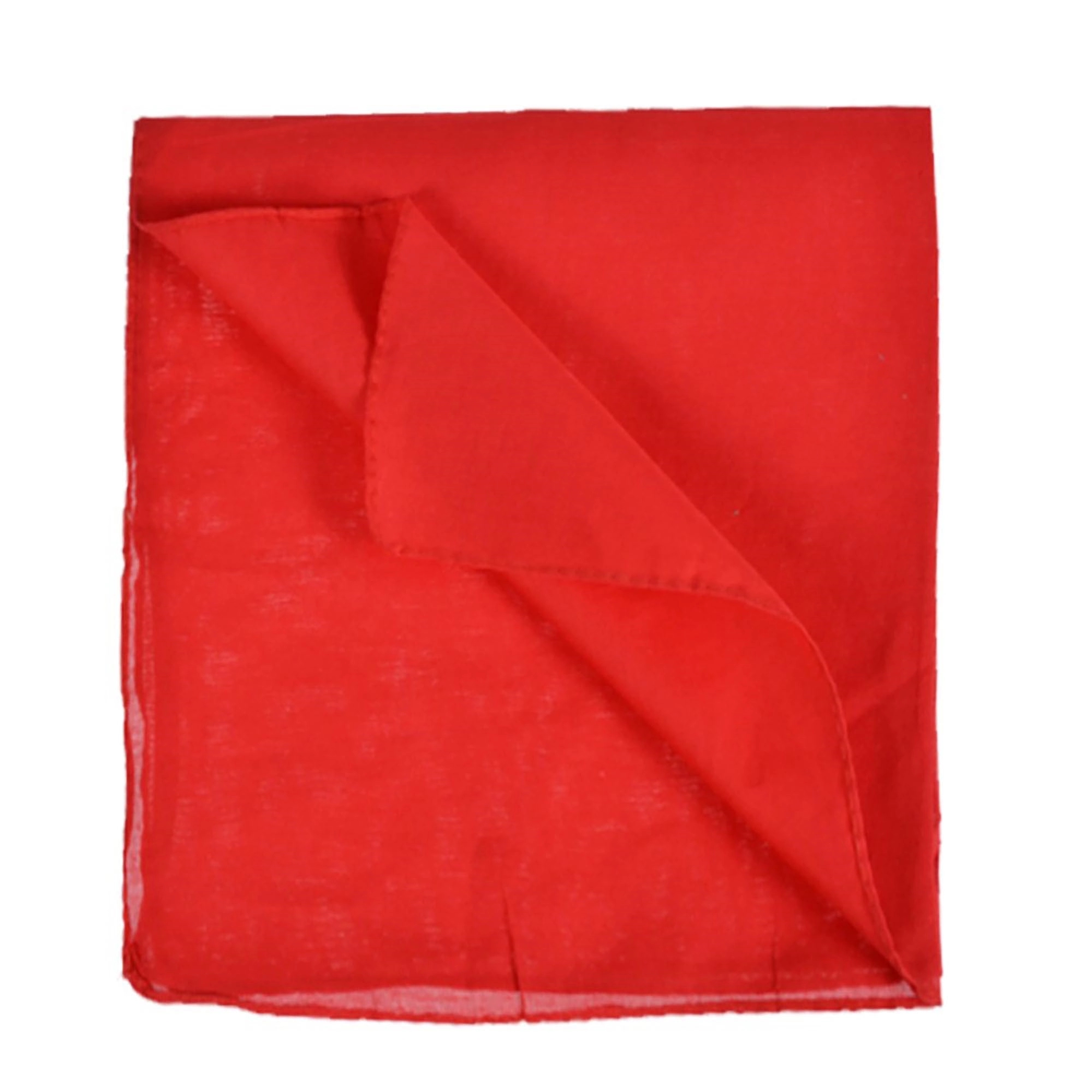 Standard Square Bandana 3