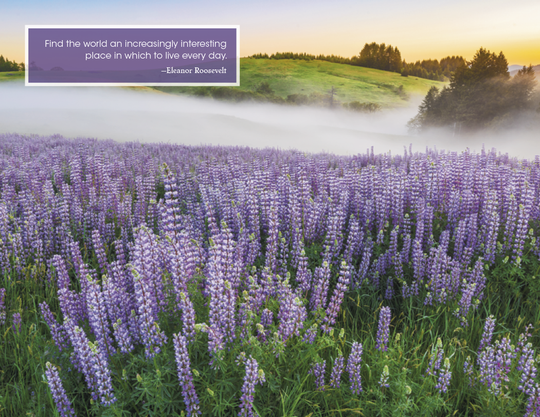 Good Value™ Inspirations for Life - Window Calendar 35