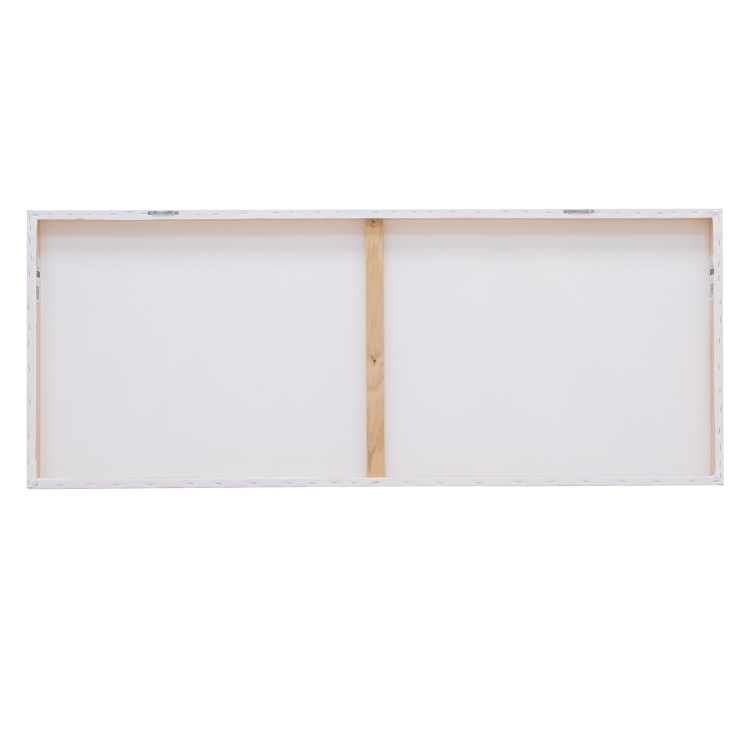 24" x 60" Canvas Print 5