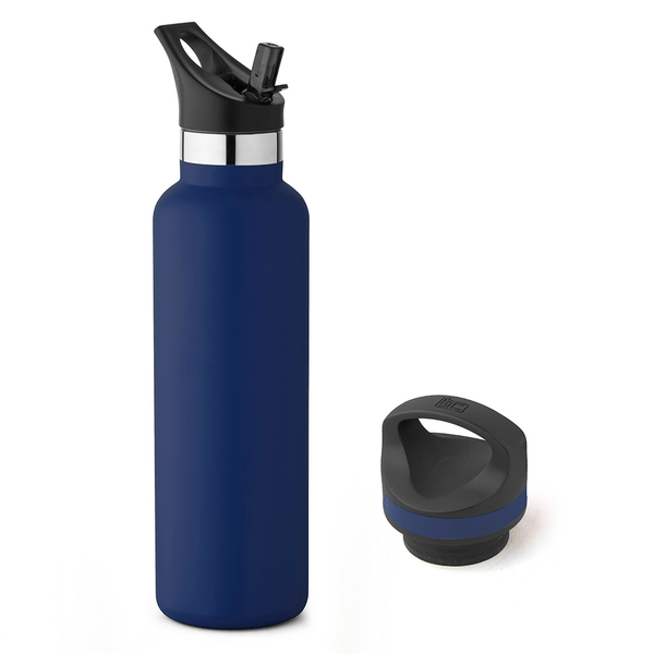20 oz Basecamp Mesa Tundra Bottle with Screw Top and Flip-Top Straw Lid 172