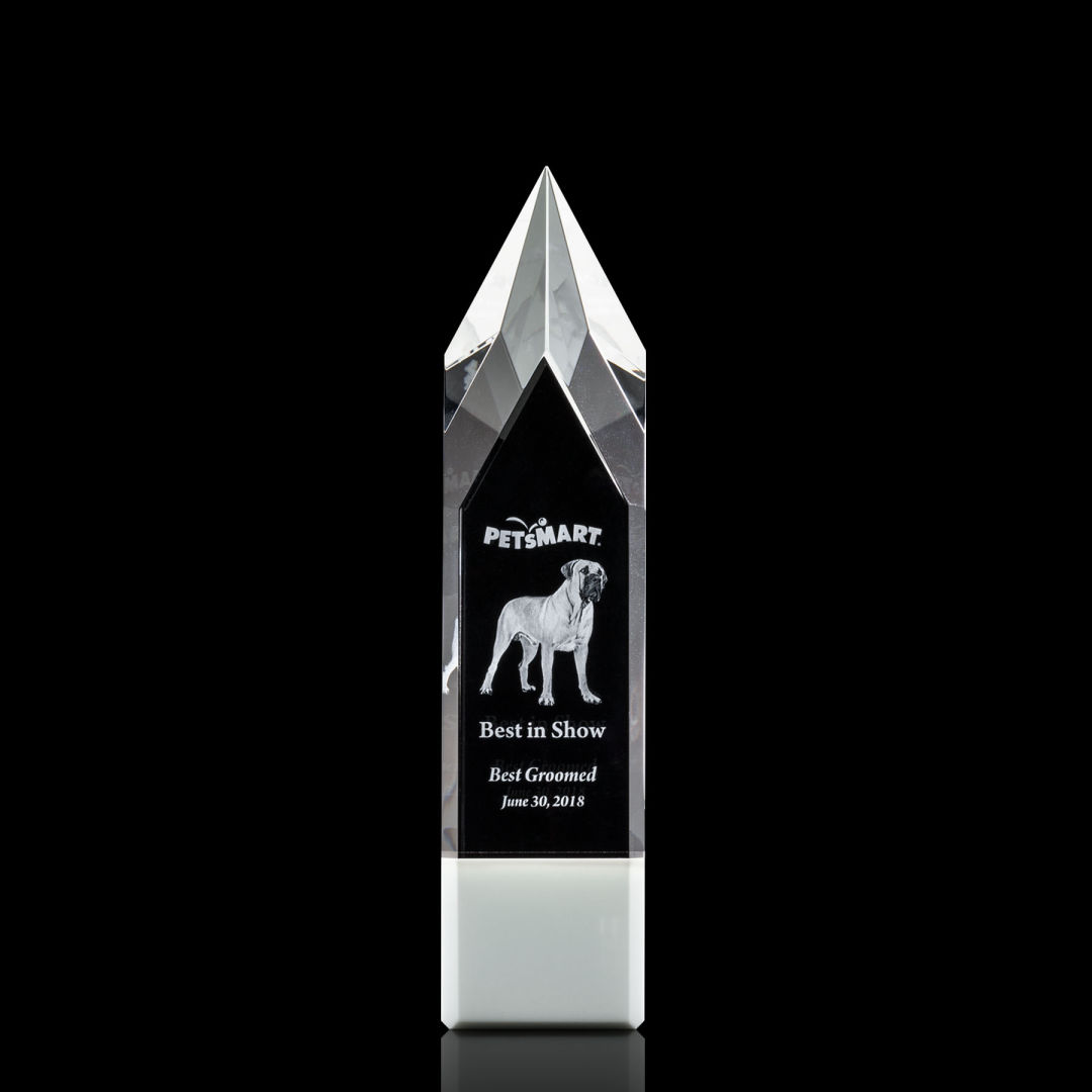 Coventry 3D Award - White 6