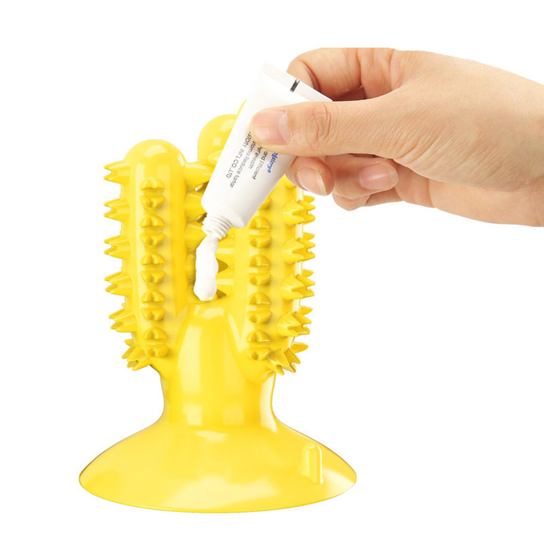 Dog Chew Toothbrush 4