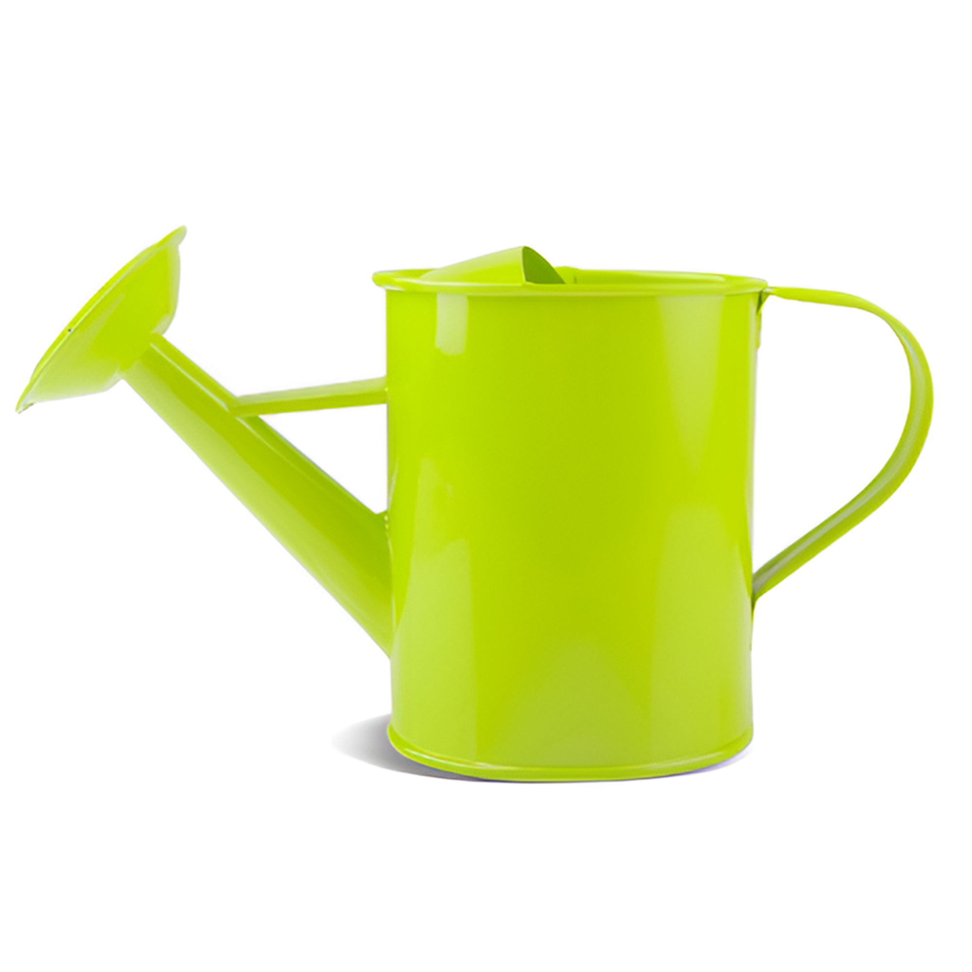 MOQ 50 PCS Sturdy 20oz Gardening Iron Watering Can 3