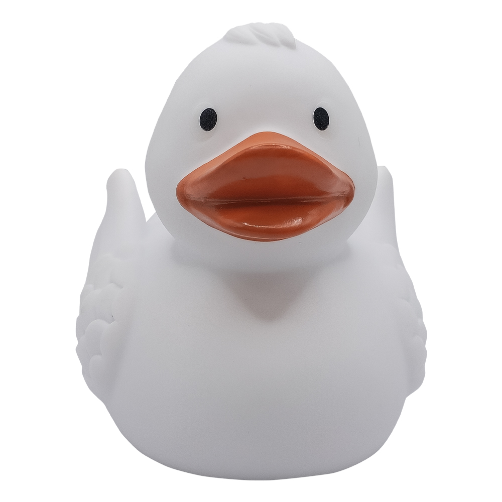 Duck With Wings 14
