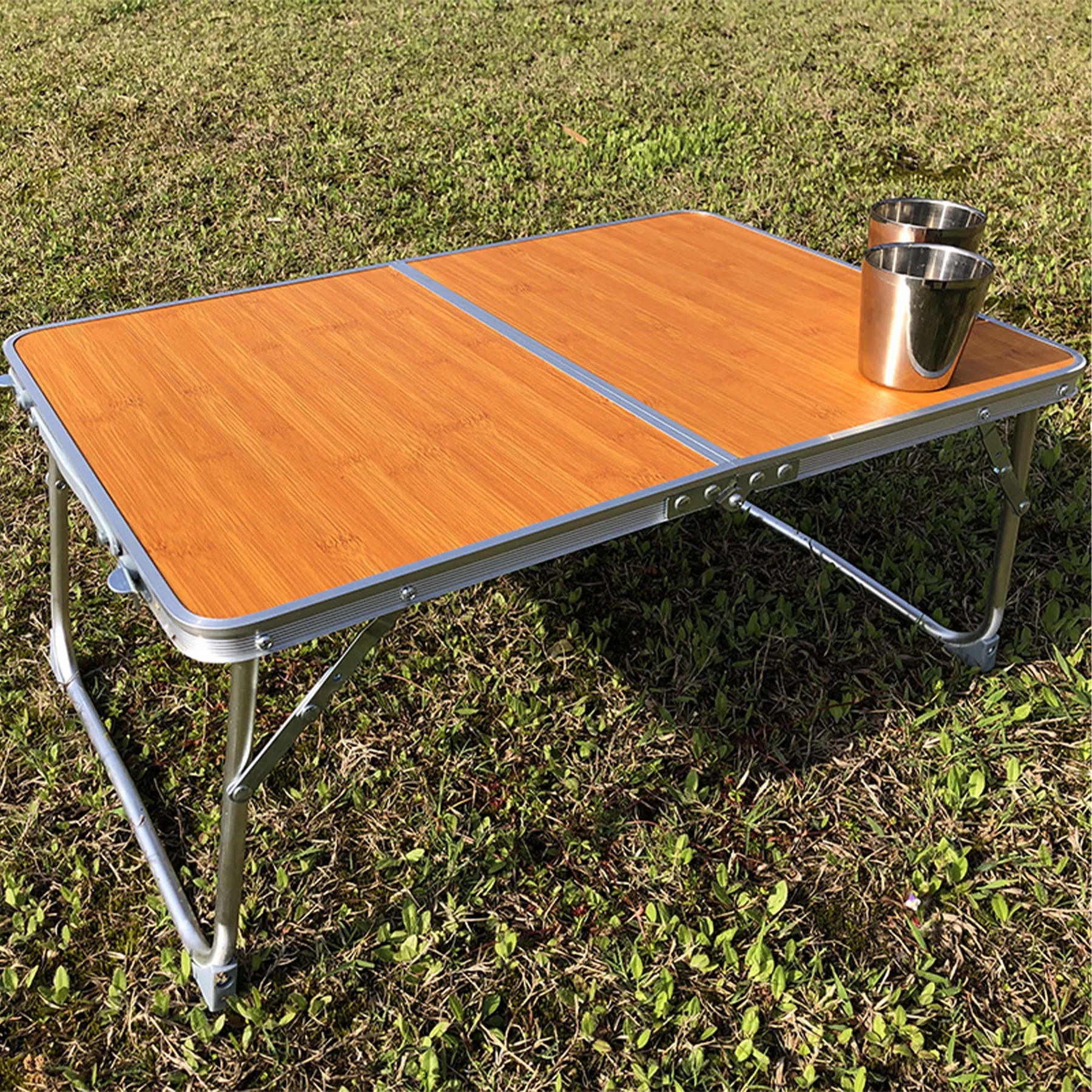 Alloy Outdoor Picnic Folding Table 11