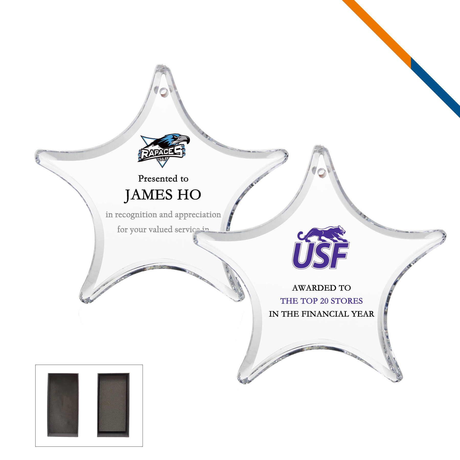 Vicki Star Award Ornament 2