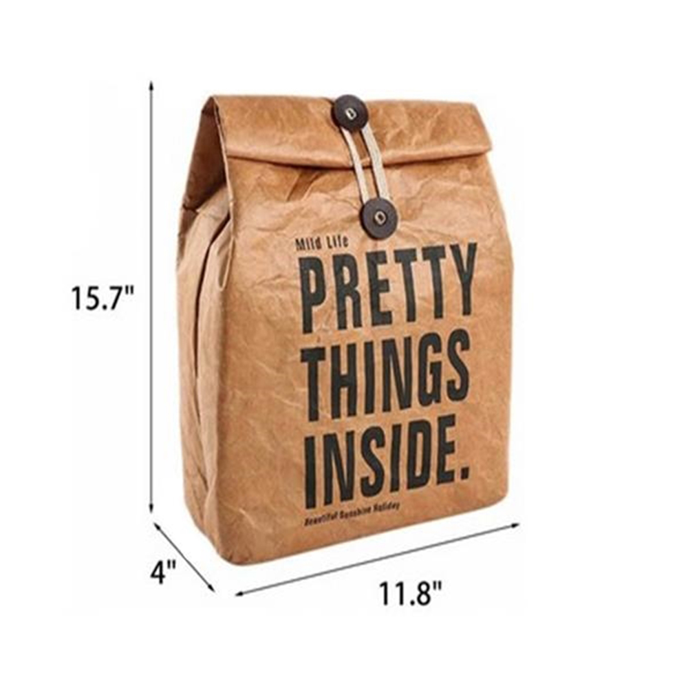 Reusable Freezable Brown Paper Lunch bag 6