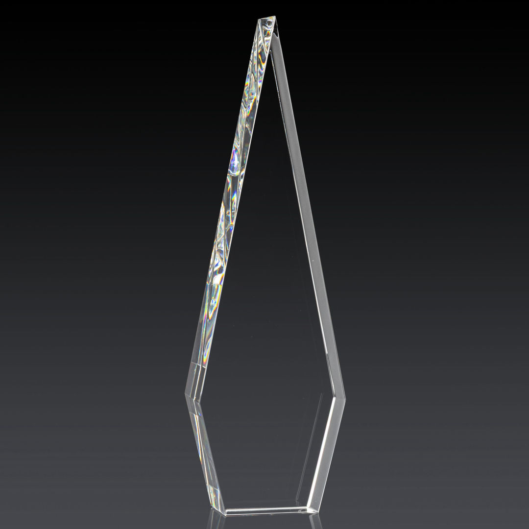 Springfield 3D Award 4