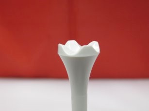 2 3/4" Evolution Imprinted Golf Tees 2