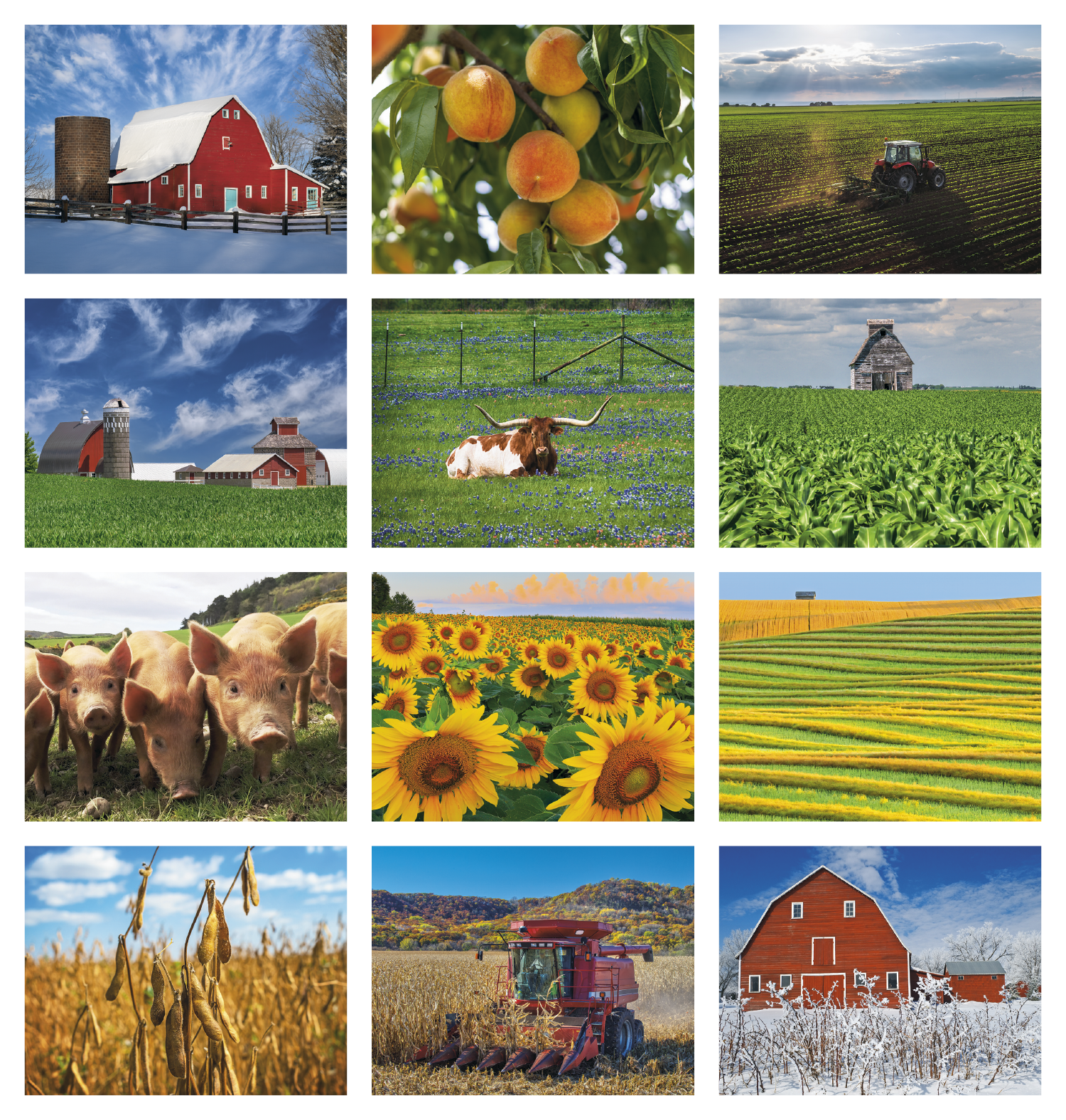 Good Value™ Agriculture - Stapled Calendar 61