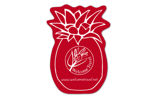 Pineapple Rubber Jar Opener 10