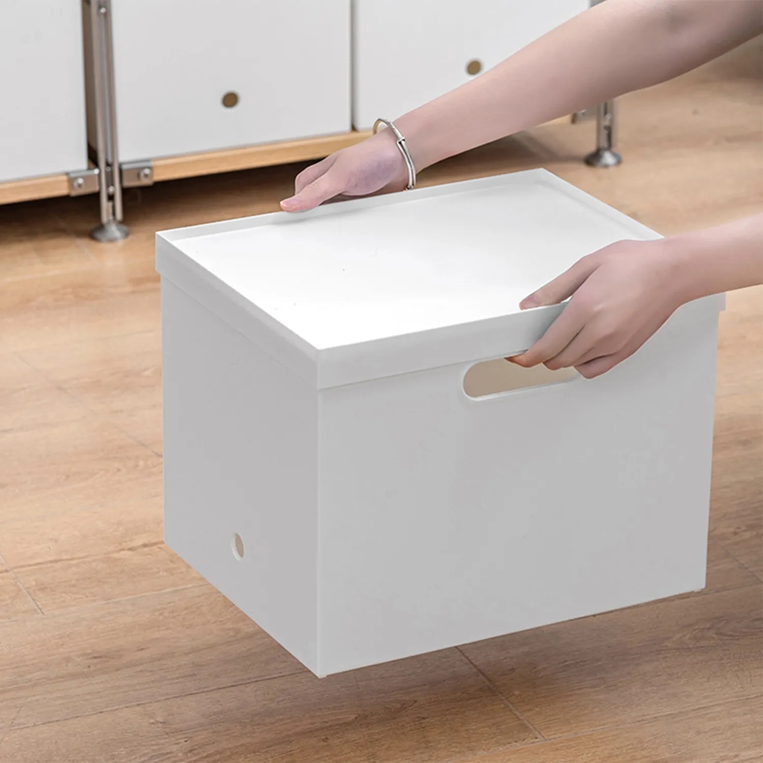 Plastic Storage Bins 3