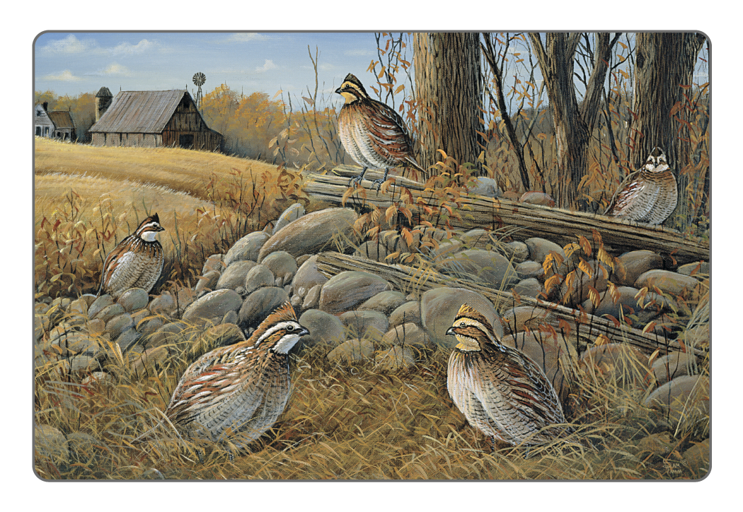 Triumph® Calendars Wildlife Art Pocket Calendar 15