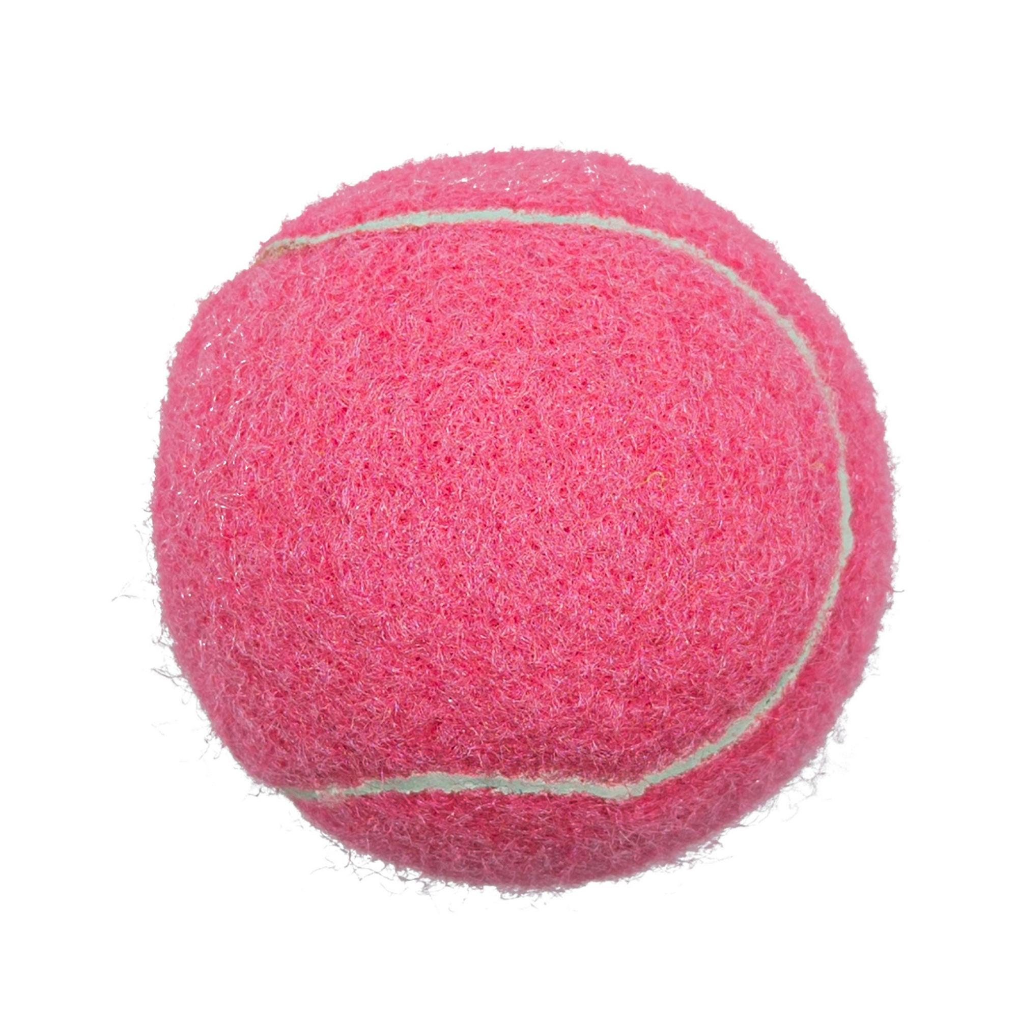 Durable Pet Fetch Toy Tennis Ball Outdoor Fun Dog Exercise 3