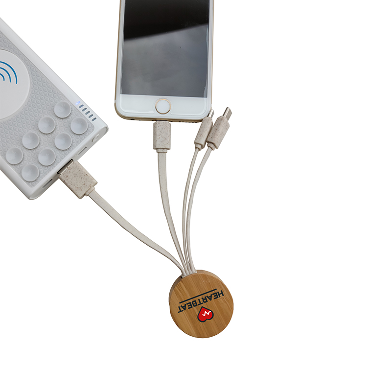 Eco-Friendly Multi-Use Charging Cable 3