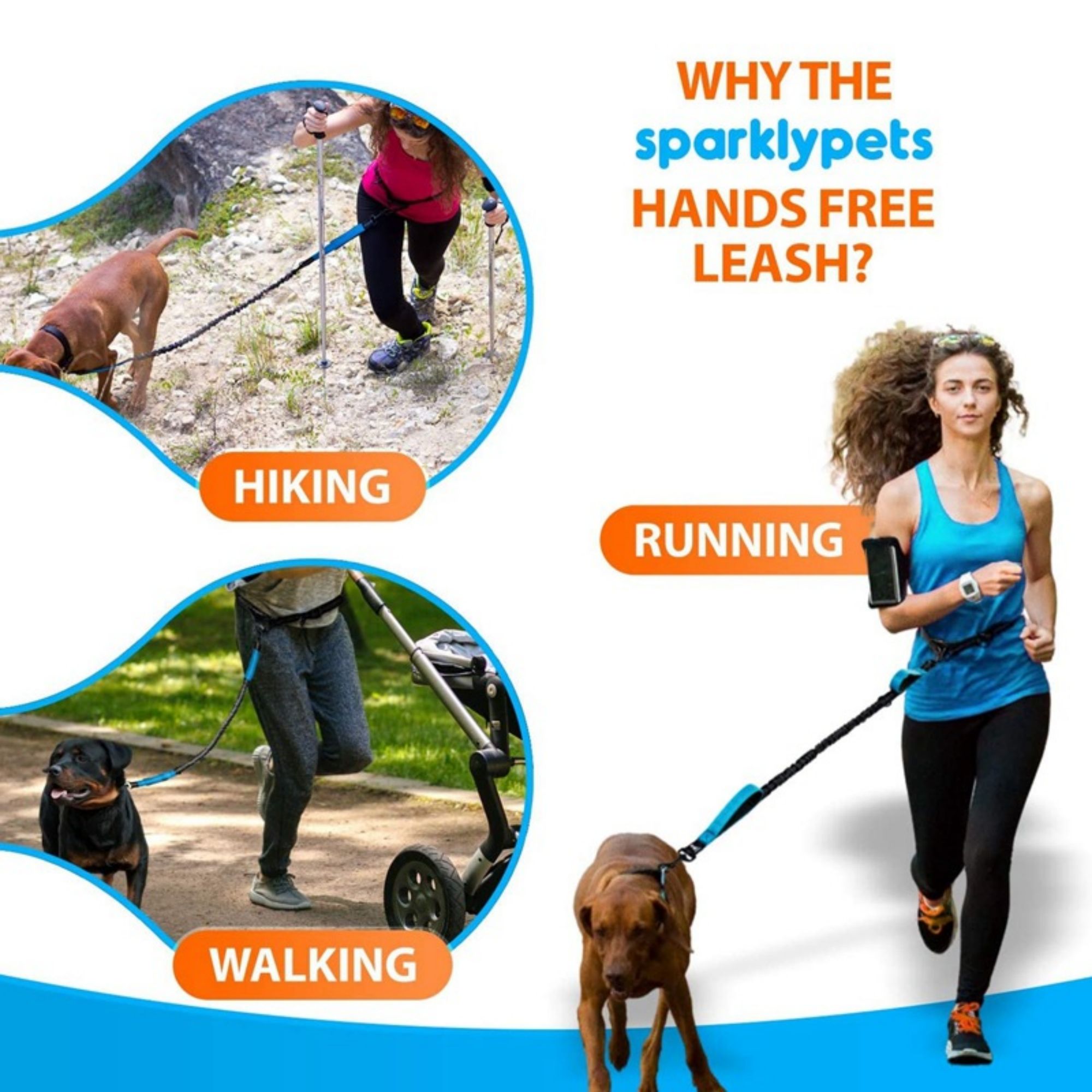 Adjustable Hands Free Dog Running Leash 5