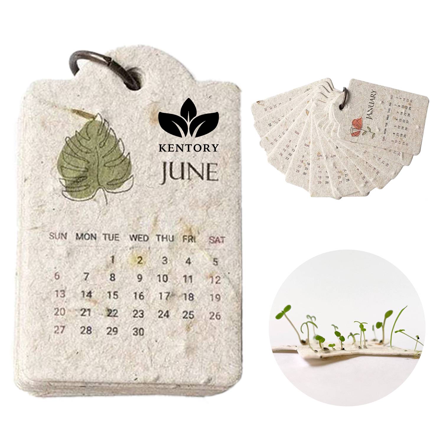 Seed Paper Calendar Gift