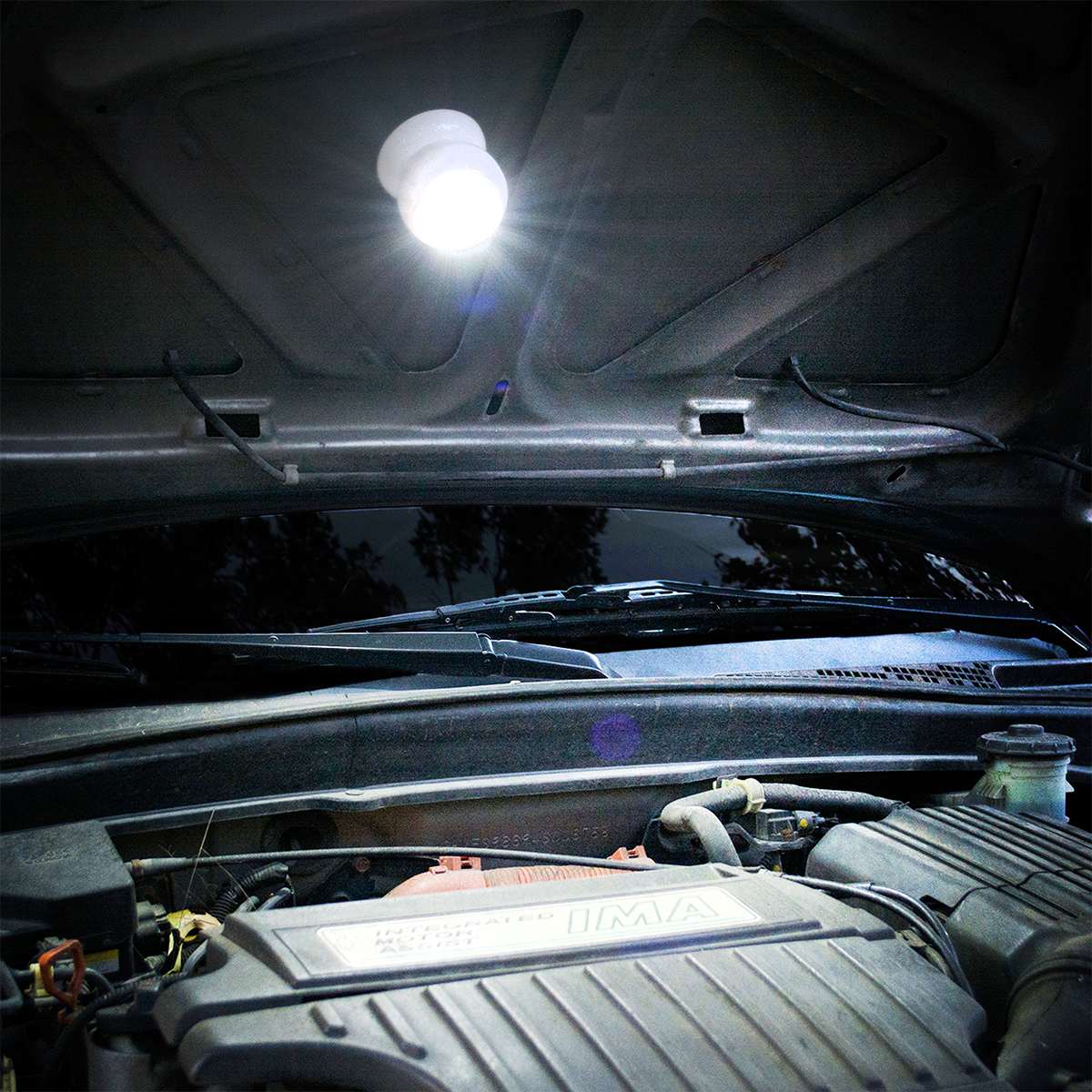 Cyclops COB Worklight