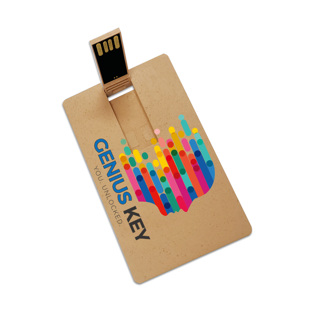 Broadview Eco-Friendly Card USB 9